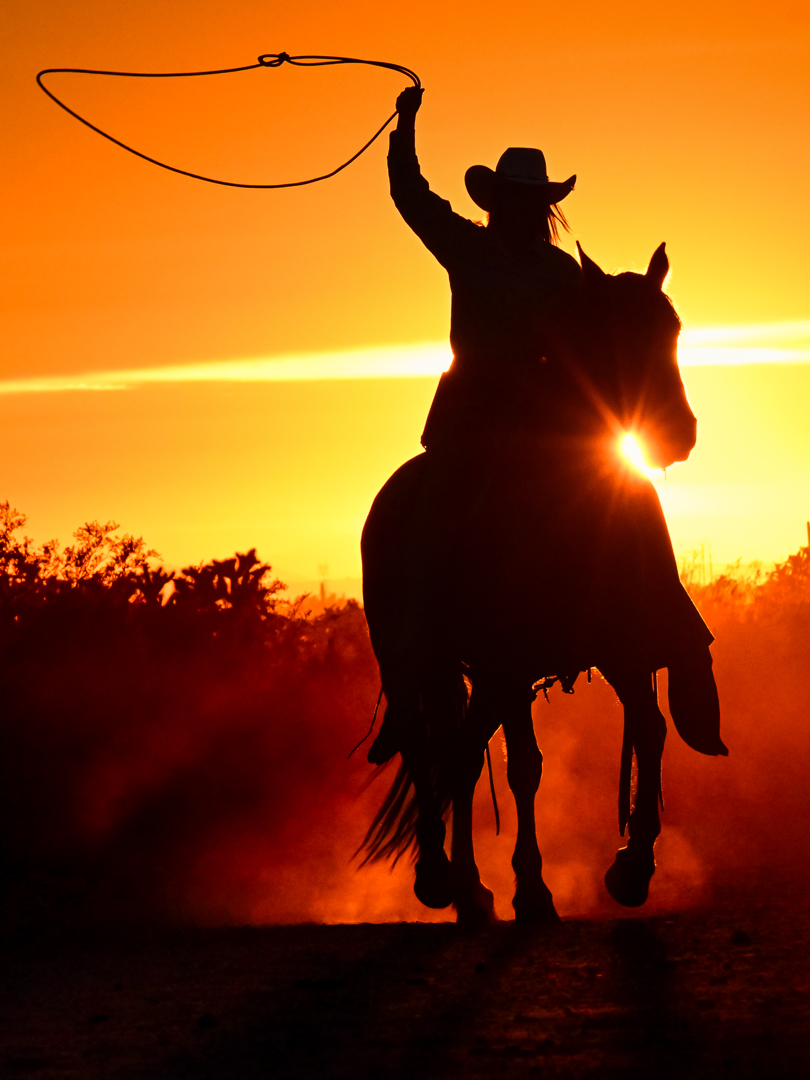 Wrangler at Sunset by Glenn Rudd (Group 17)